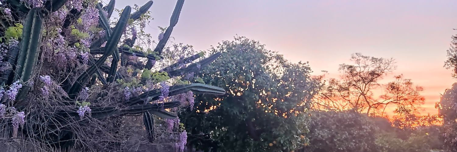 azoosh banner