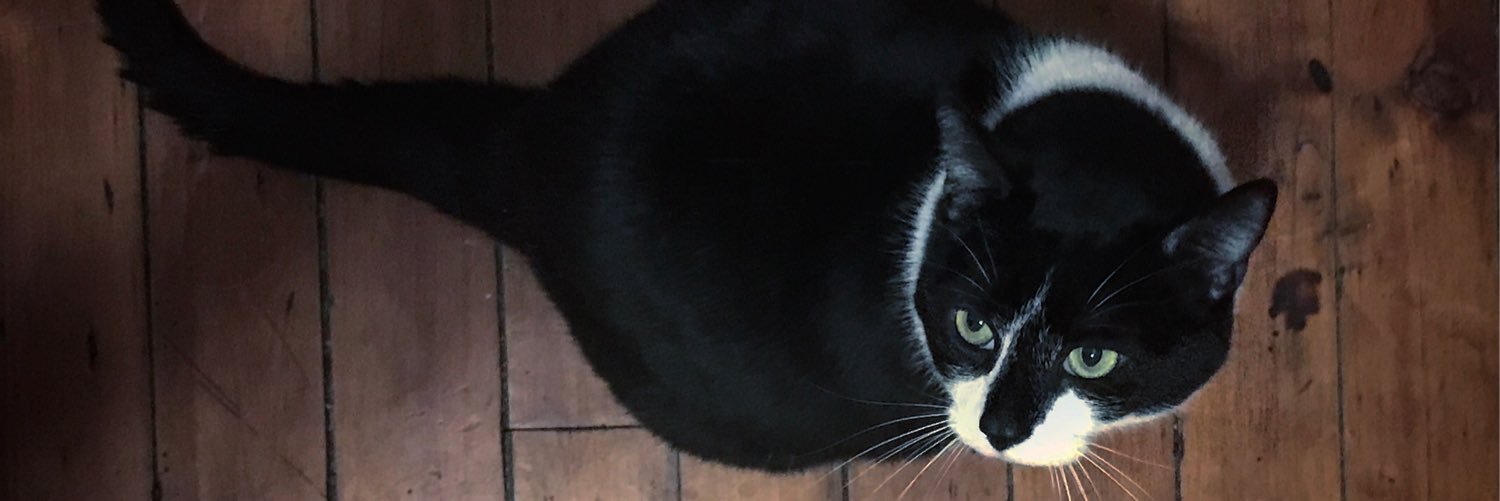 Chris Garaffa banner