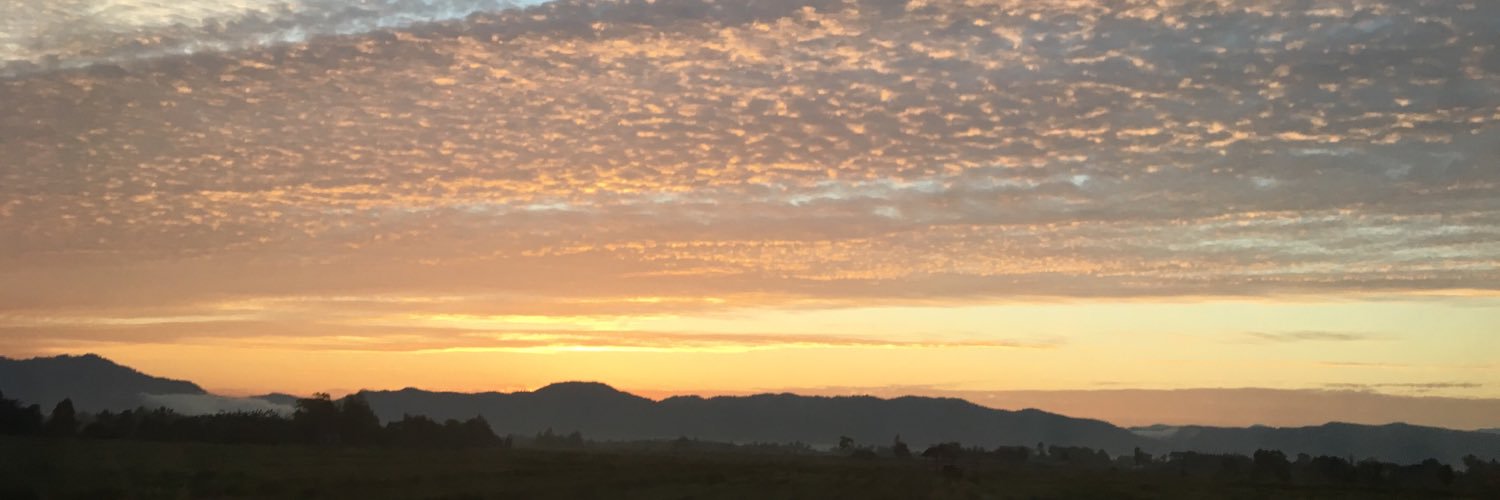 Rawiwan Chinda banner