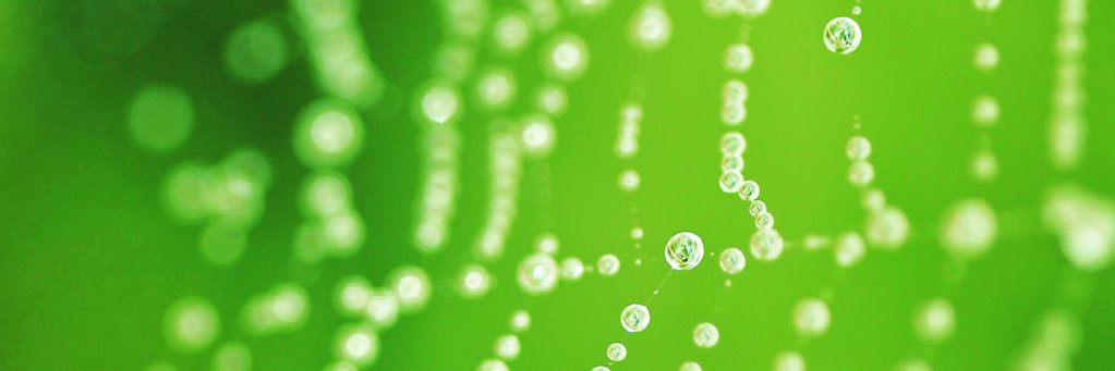 __0310's profile banner image