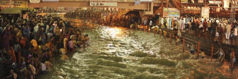 Stephanie Cornfield banner