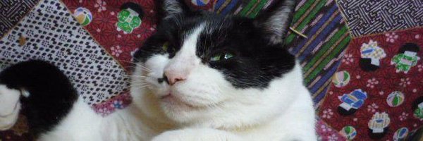 bcm69 Profile Banner