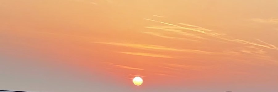 vicmaywhite's profile banner image
