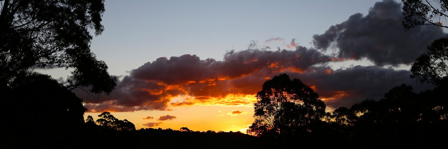 IboOrgut's profile banner image
