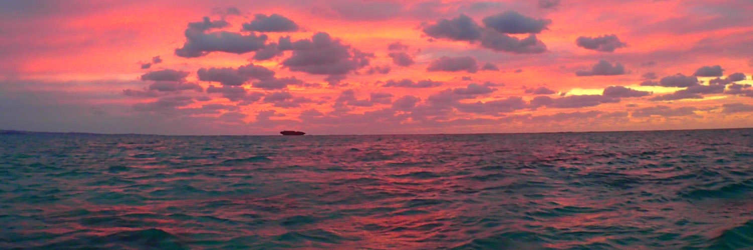 chi_iii's profile banner image