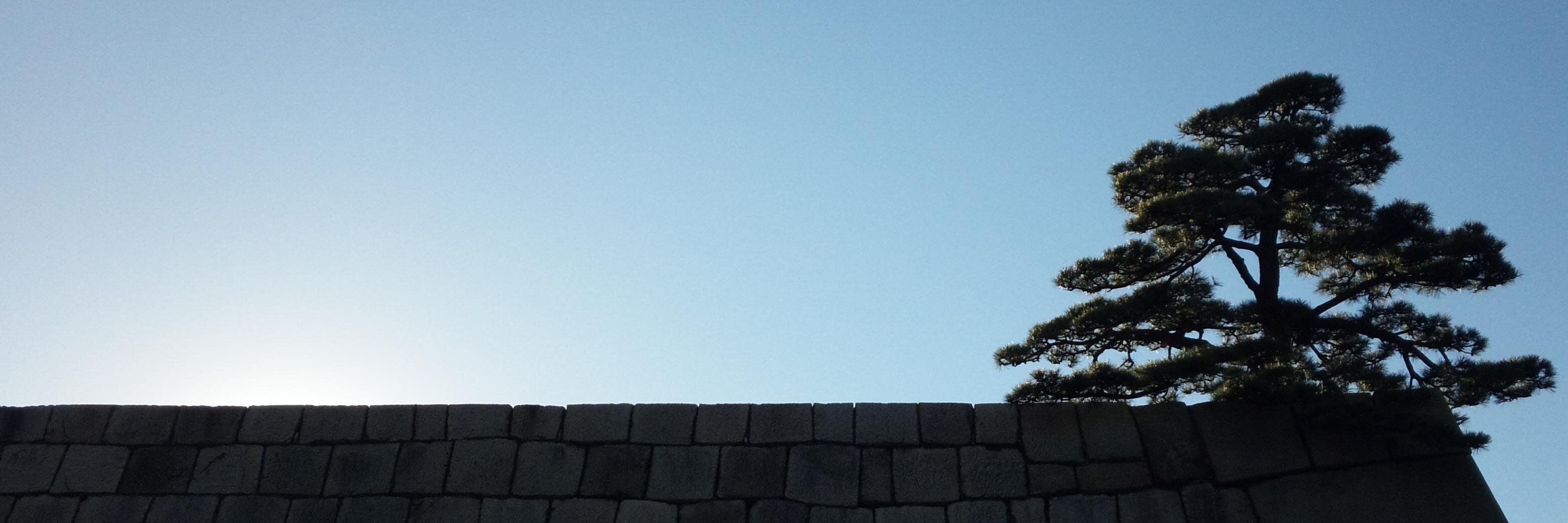 tcoombs's profile banner image