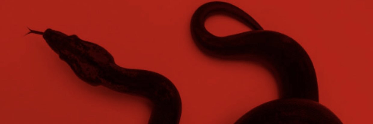 ferelectriccc's profile banner image
