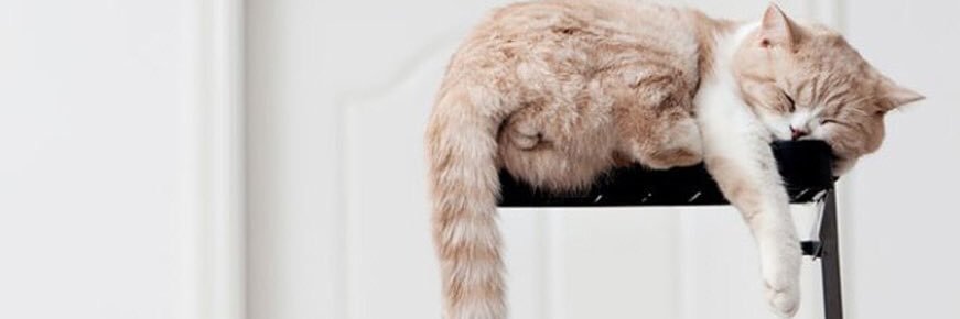 Andreambiayu's profile banner image