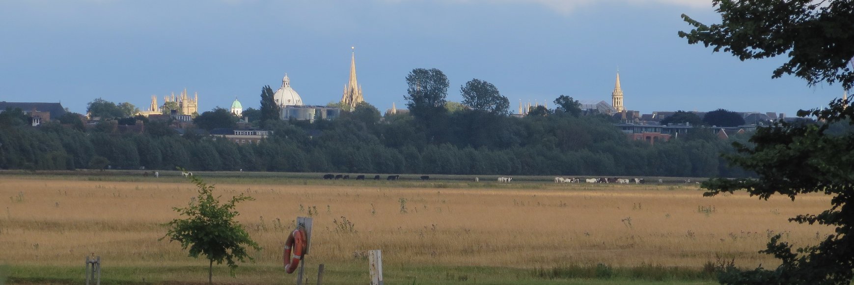 Martine Wauben banner