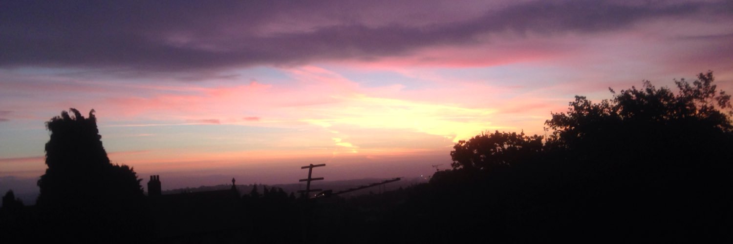 Nicky Vignoli banner