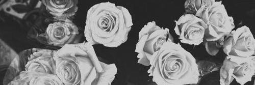 xJessHall's profile banner image