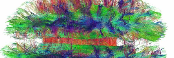 neurohellyer Profile Banner