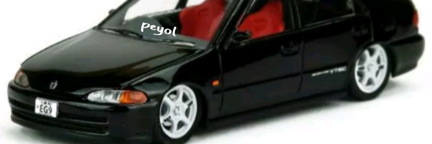 peyol's profile banner image