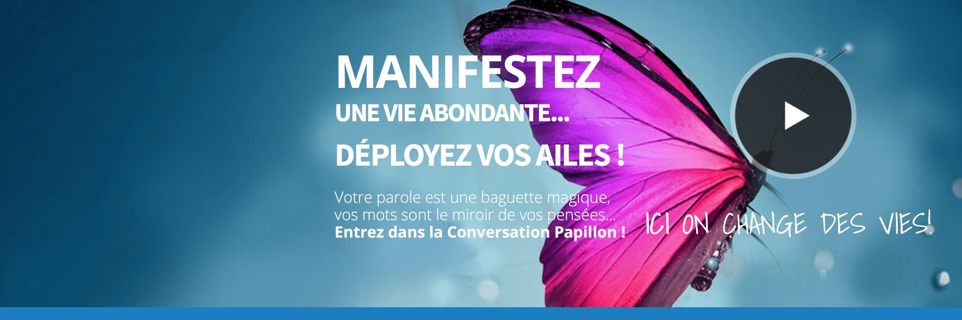 converspapillon's profile banner image