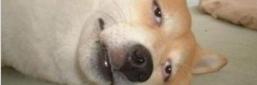 bubupupun's profile banner image