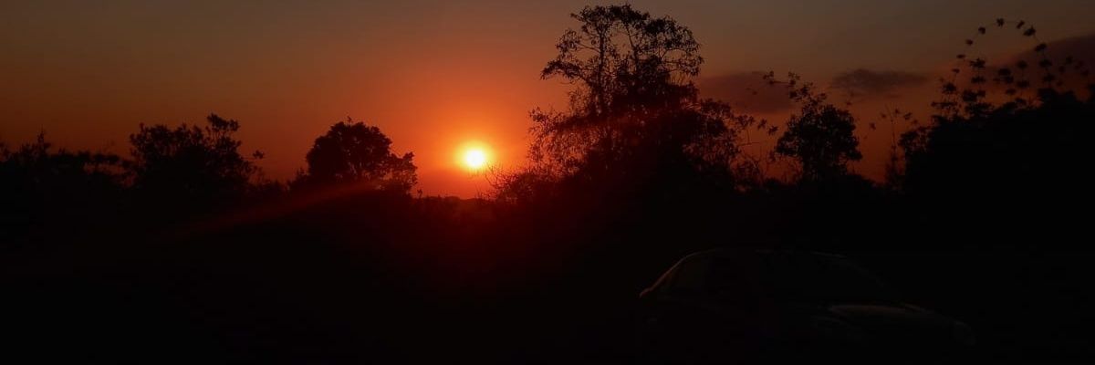 SueliCrokoch's profile banner image
