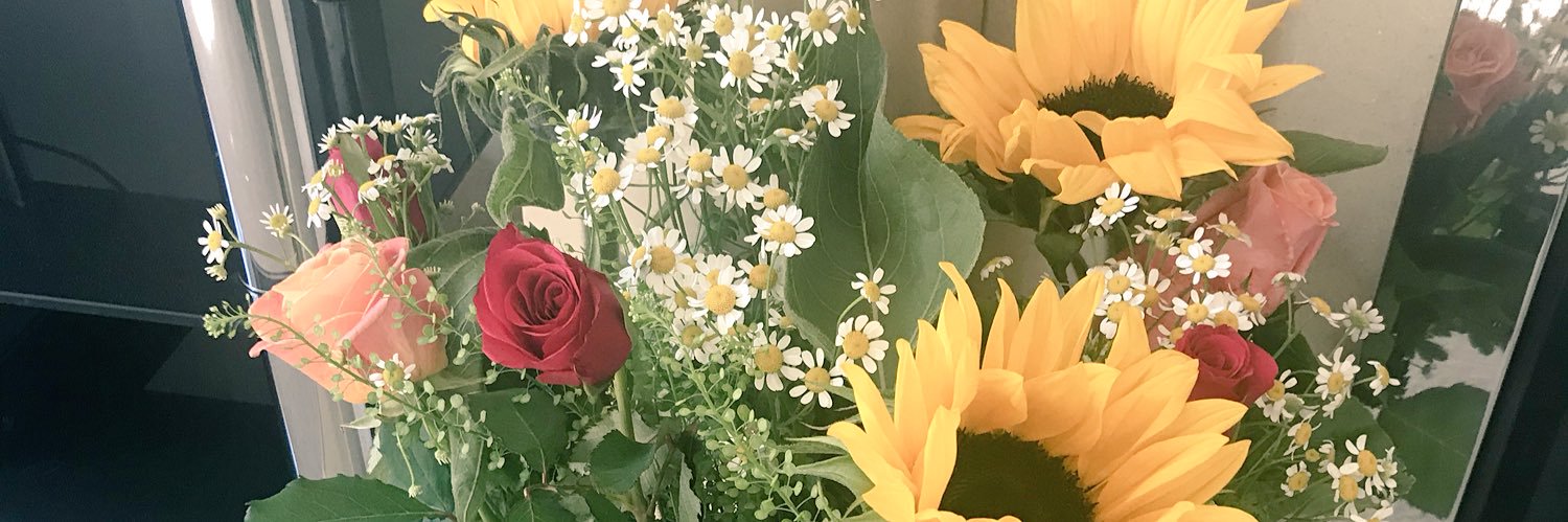 hannahrose16_'s profile banner image