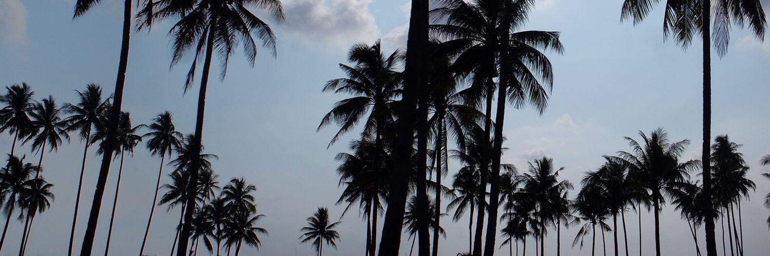 andrizainal's profile banner image