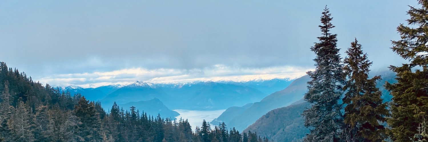 zborghei's profile banner image
