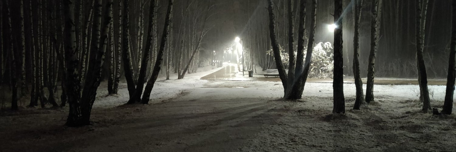Антон Рожков banner