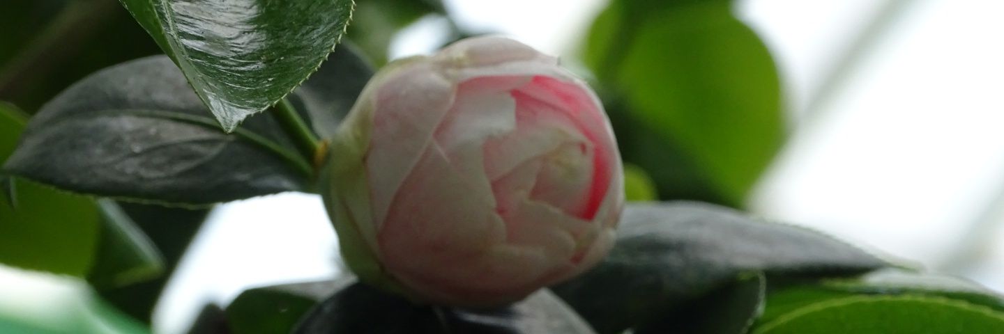 valeriewetzler's profile banner image