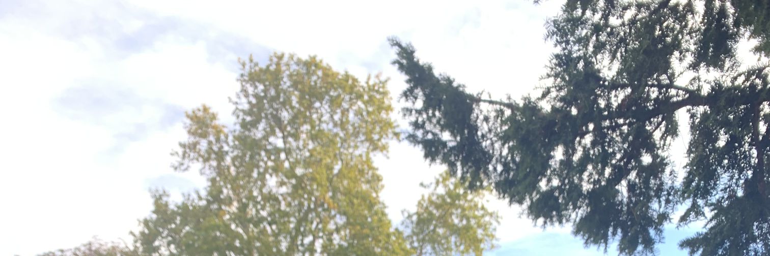 Abdoune's profile banner image