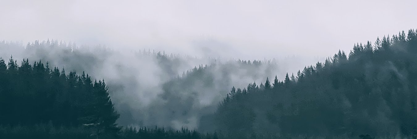 Milla Inkilä banner