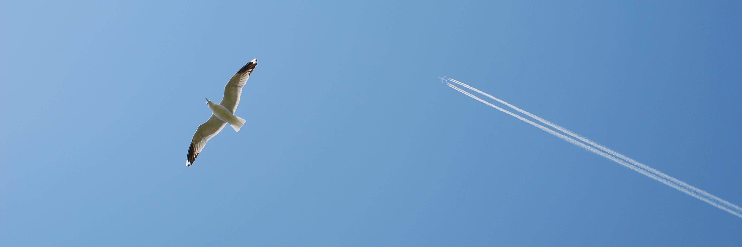 aerospaceLogan's profile banner image
