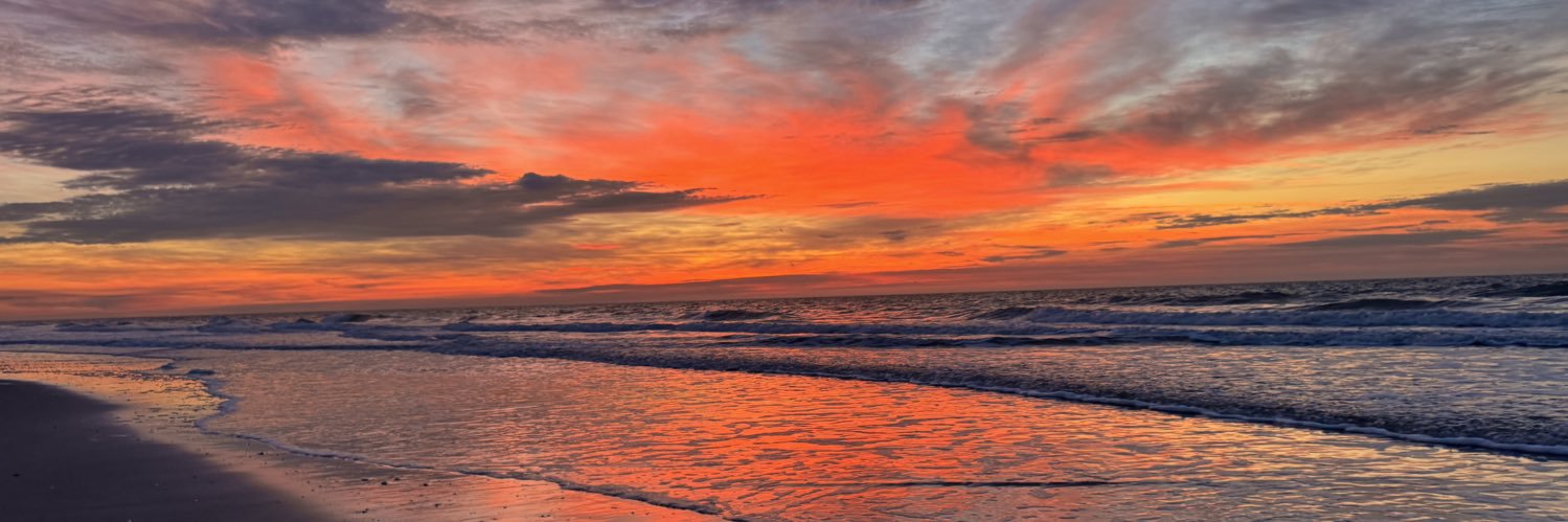 Shelley Woodroof banner