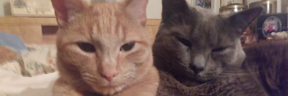 crusherzu's profile banner image