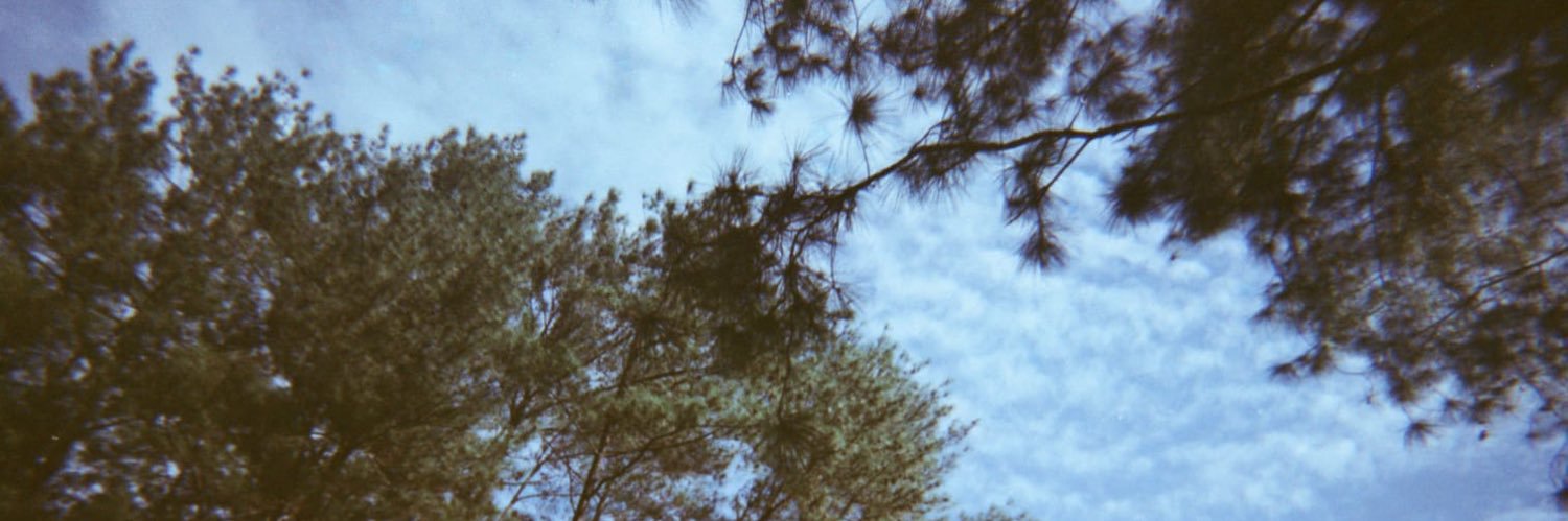 danitdanit's profile banner image