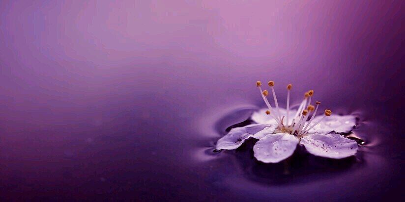 tyanwongso's profile banner image