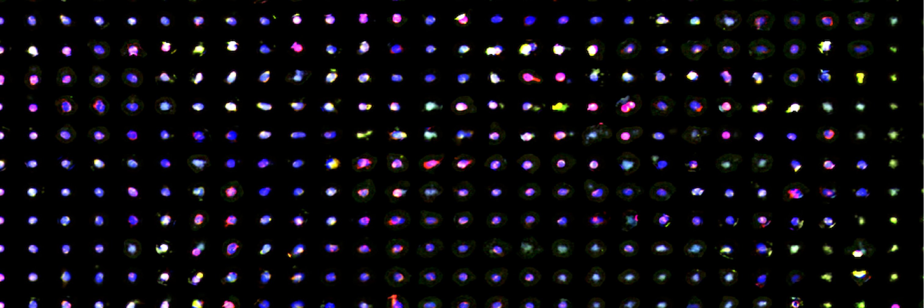 Young Hwan Chang banner