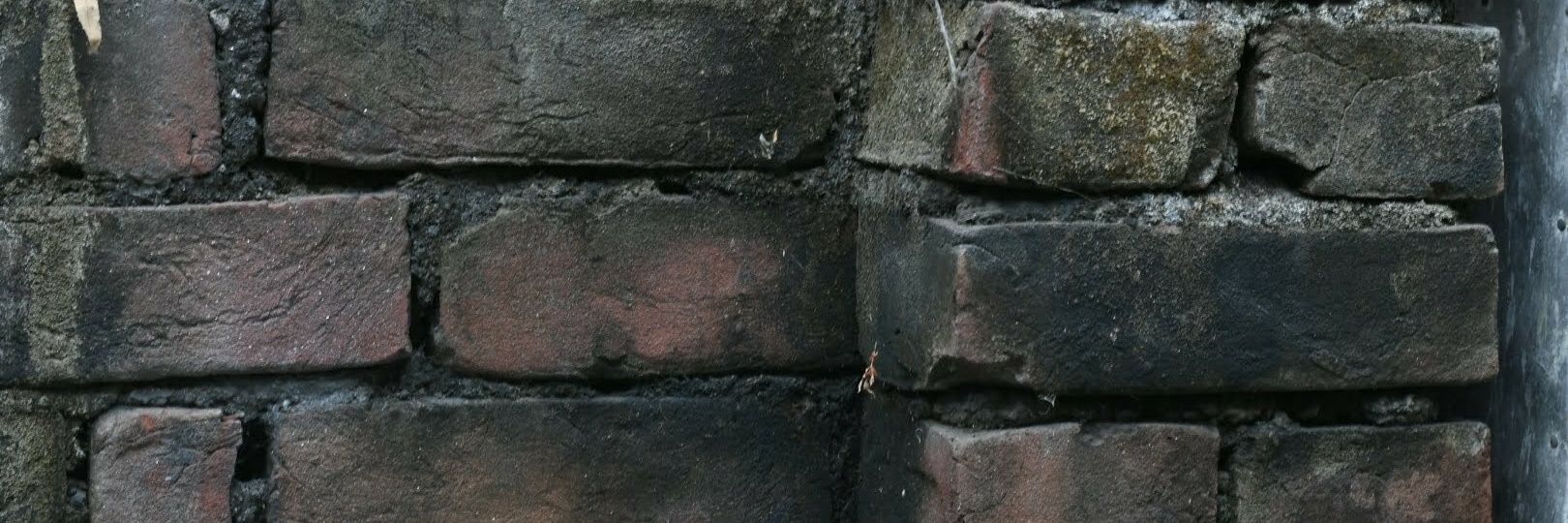 gunodhor's profile banner image