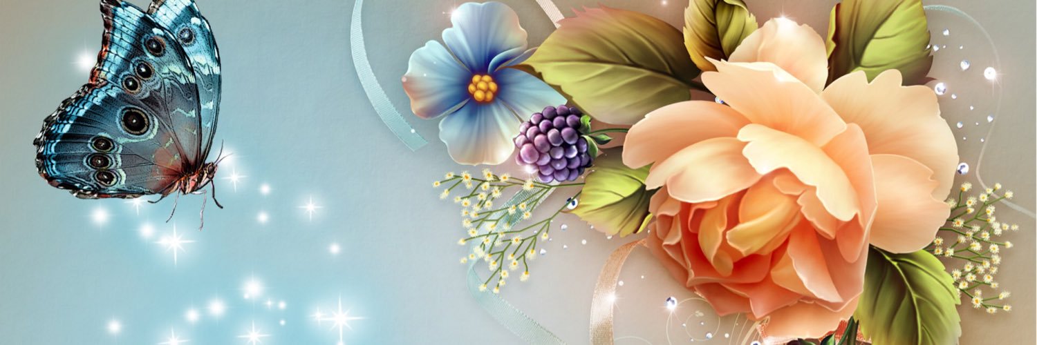 bolamidey's profile banner image