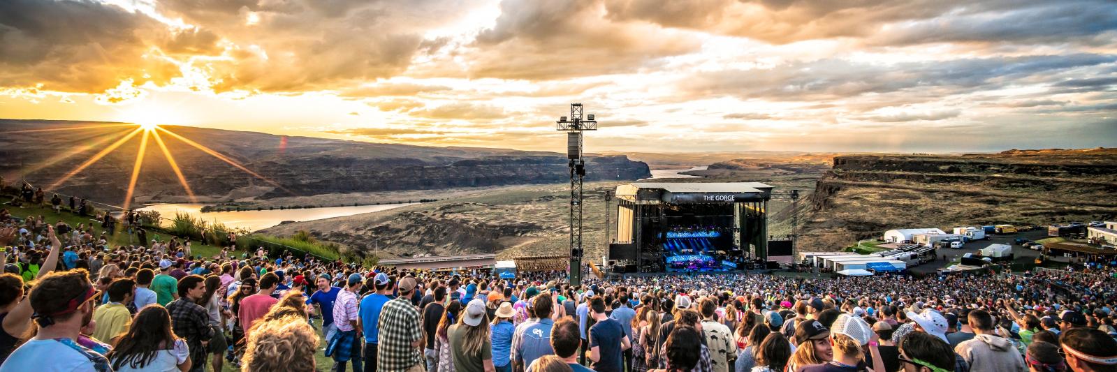 Stephen Olker banner