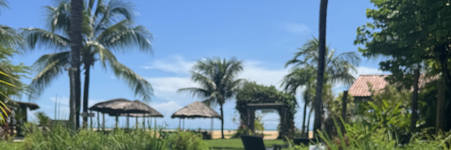 UbiratanBSJr's profile banner image
