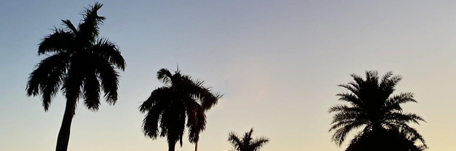 MarinaAdam's profile banner image