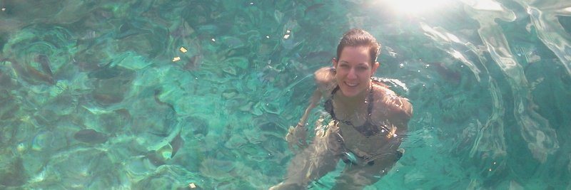 caritomonzon's profile banner image