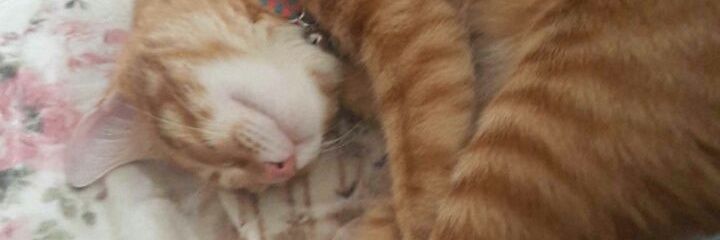 krmptrn's profile banner image