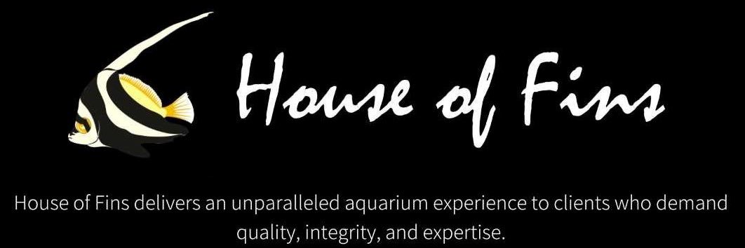 HouseofFins's profile banner image