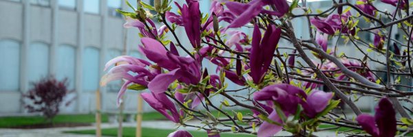 westernuEdu Profile Banner