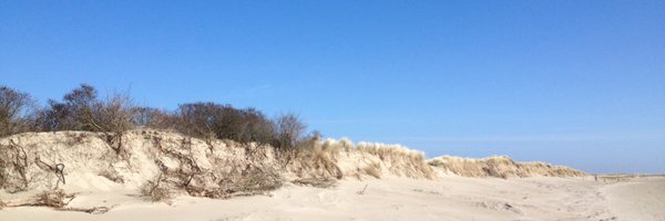 larkinia Profile Banner