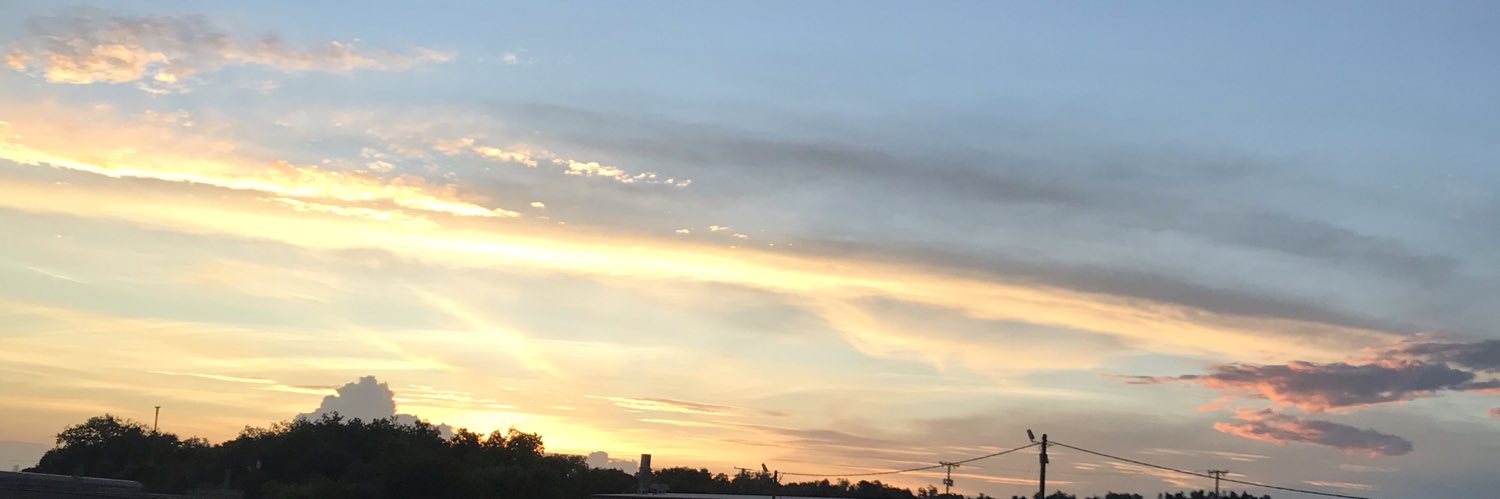 trivialthoughts's profile banner image