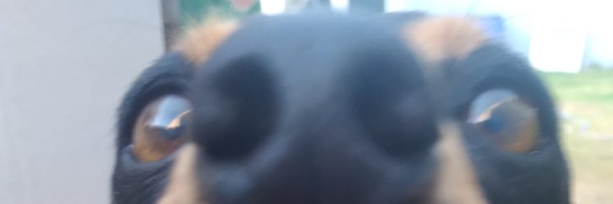 Benezen's profile banner image