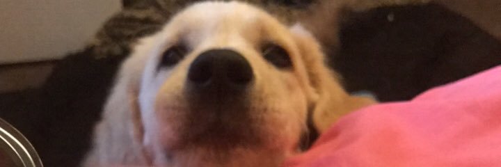 KierstenEdens's profile banner image