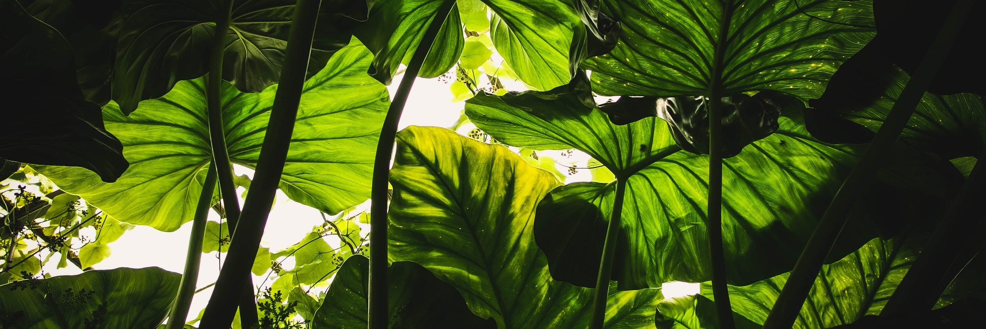 mirita_lopez's profile banner image