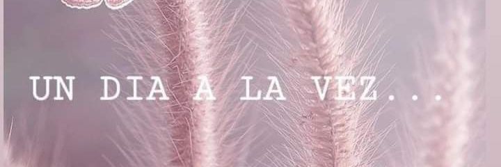 pavemir's profile banner image