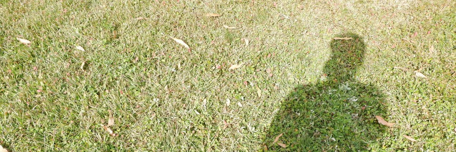 alfarisyi's profile banner image