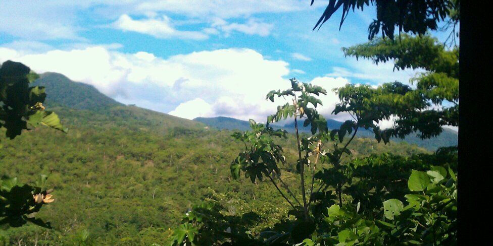 marcuellar's profile banner image